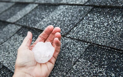 assisting with hail damage insurance claims