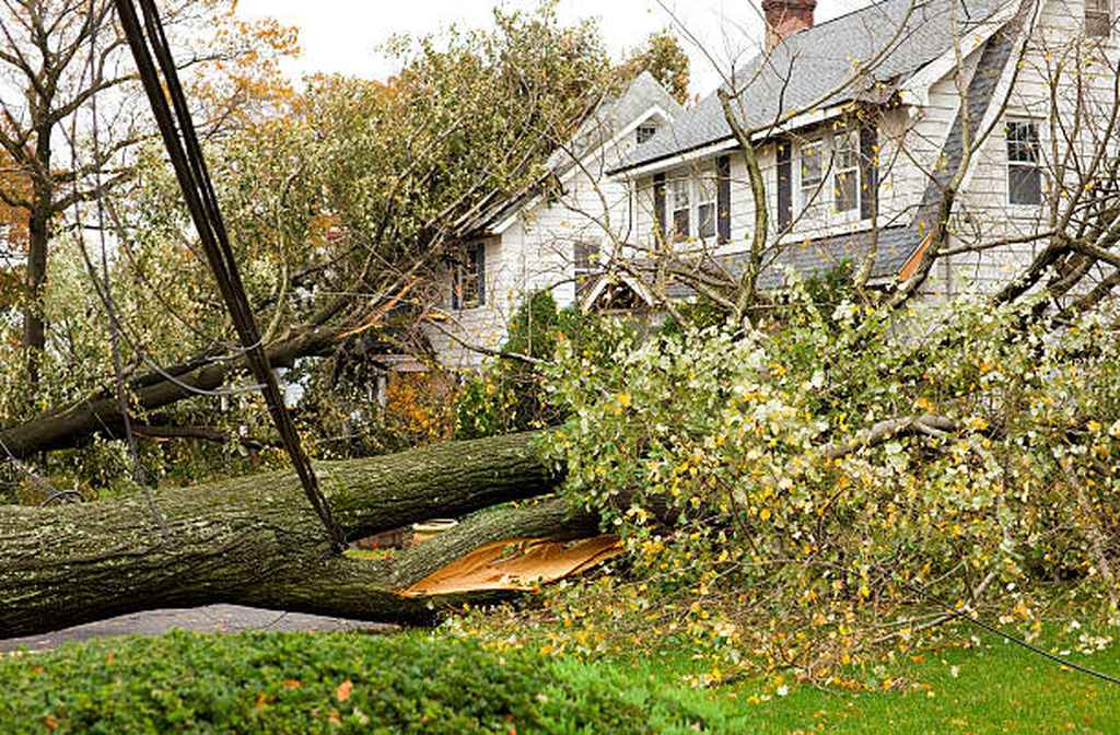 What to Do if a Storm Damages Your Roof in Minneapolis