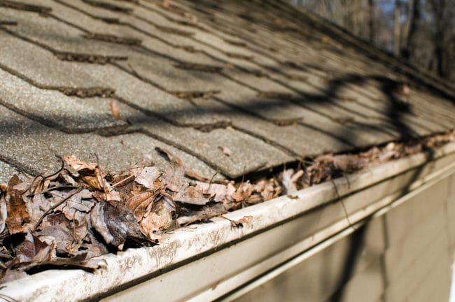 winter roof prep, winter roof maintenance, winter roof damage